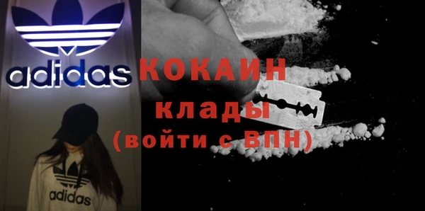 шишки Михайлов