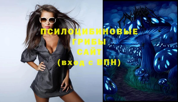 MDMA Premium VHQ Михайловка
