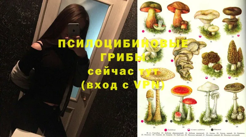 Галлюциногенные грибы Magic Shrooms  Мышкин 