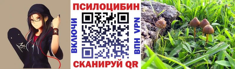 KRAKEN зеркало  наркота  Мышкин  Галлюциногенные грибы мухоморы 