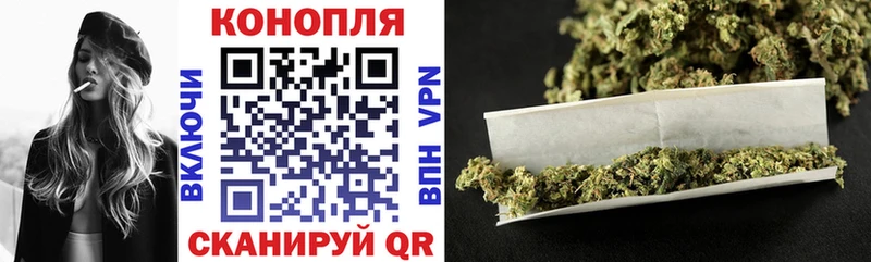 Конопля планчик Мышкин