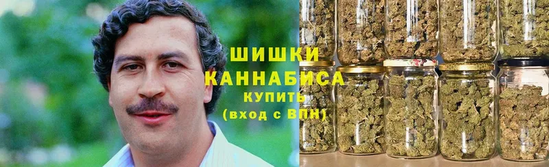 Каннабис планчик  Мышкин 